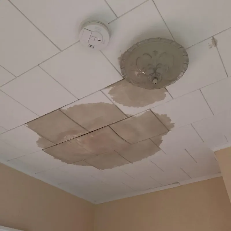 Ceiling Water Damage Repair in Belle Plaine, WI