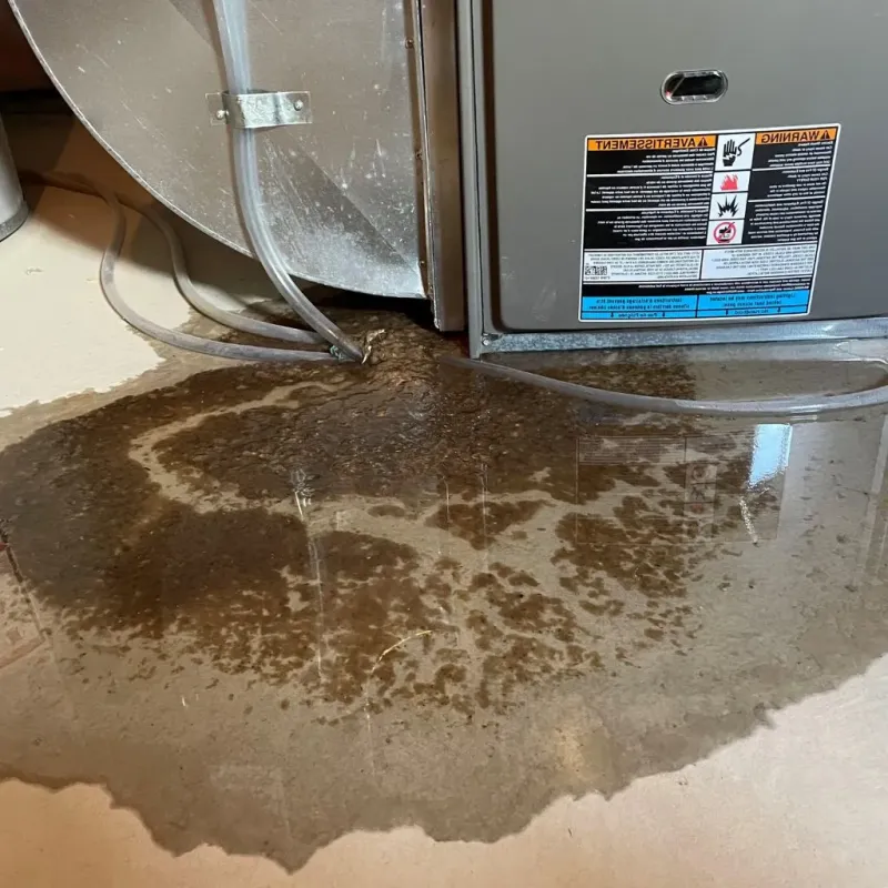 Pipe Burst and Leak Restoration in Belle Plaine, WI
