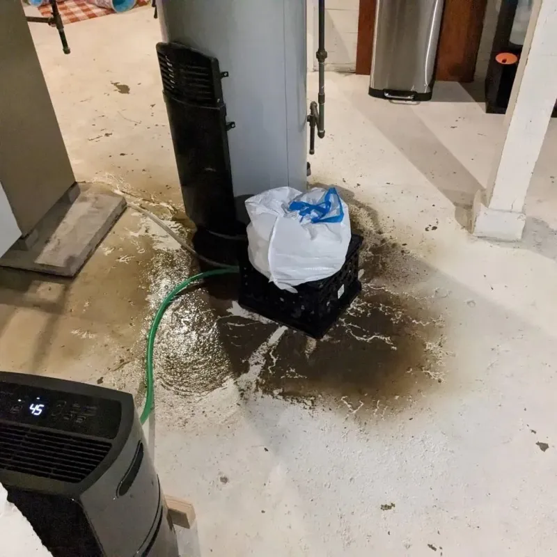 Sewage Backup Cleanup Service in Belle Plaine, WI